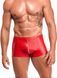 Чоловічі шорти Noir Handmade H097 Ignite shorts XXL SX4221 фото 1