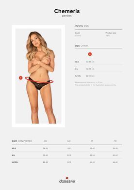 Трусики Obsessive Chemeris panties XL/2XL SO9763 фото