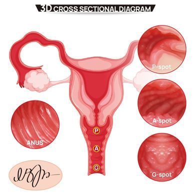 Мастурбатор Kokos 004 Vailla ONAHOLE Real Vagina SX3235 фото