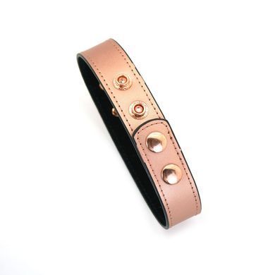 Нашийник із затискачами для сосків Liebe Seele Rose Gold Memory Collar with Nipple Clamps, шкіра SO9495 фото