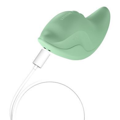 Вібратор та кліторальний стимулятор KISSTOY Heidi Green SX3313 фото