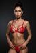 Комплект Passion ANUVERA SET fire brick S SX2900 фото 10