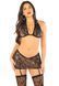 Комплект Leg Avenue Bra Top, Garter Skirt and Stockings One Size, Black SX1750 фото 1
