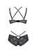 Комплект Passion DROSERA BIKINI black, XXL/XXXL, бюстгальтер і трусики-кюлоти SX0469 фото 4
