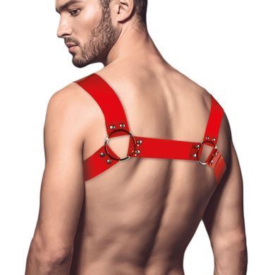 Чоловіча портупея на груди Feral Feelings - Bulldog Harness Red Trasparent SO9306 фото