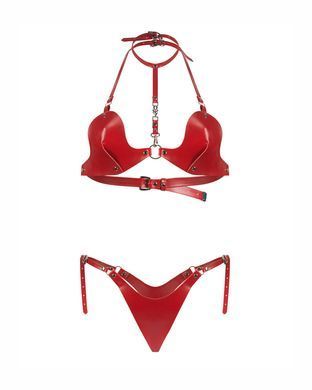 Комплект Obsessive Inferro 2-pcs set S/M/L SX3595 фото
