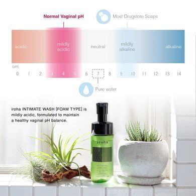 Піна для інтимного догляду Iroha Intimate Wash Foam Type Damask Rose and Geranium 150 мл SX3495 фото