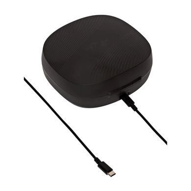 Смарт-вібратор для пар We-Vibe Chorus Pro Satin Black SX3860 фото