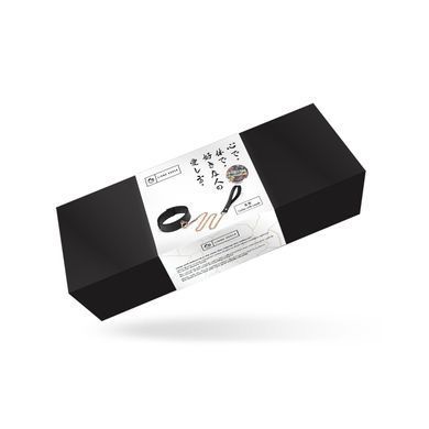 Нашийник з повідцем Liebe Seele Black Organosilicon Collar with Leash, екошкіра SO9484 фото