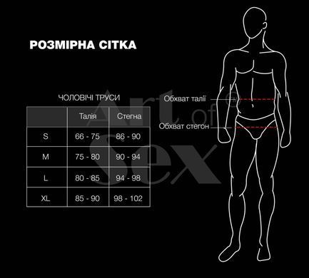 Чоловічі труси з сюрпризом Art of Sex - Gladiator, чорні з ефектом мокрого оксамиту, розмір S SX3404 фото