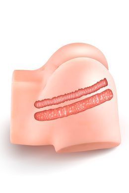 Смоктальна вагіна-мастурбатор Real Body Real Nina, вагіна та анус, з вібрацією і звуком SX3143 фото